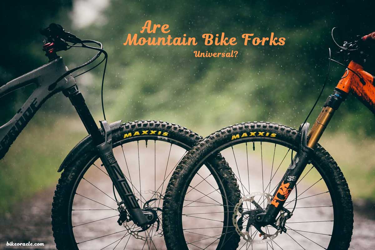 Are Mountain Bike Forks Universal