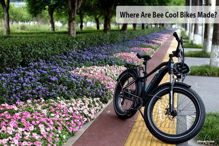 Where Are Bee Cool Bikes Made? [Answered]