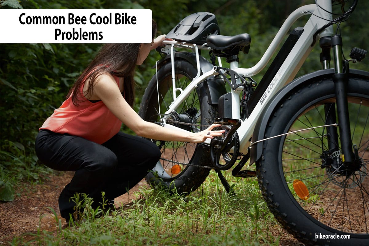 Common Bee Cool Bike Problems