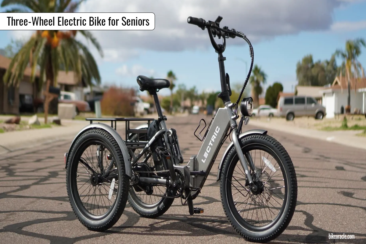 Three-Wheel Electric Bike for Seniors